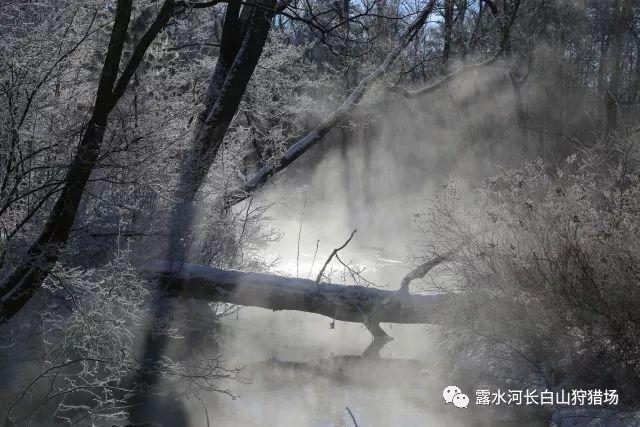 什么样的原创贡献,能申请EB1A绿卡?