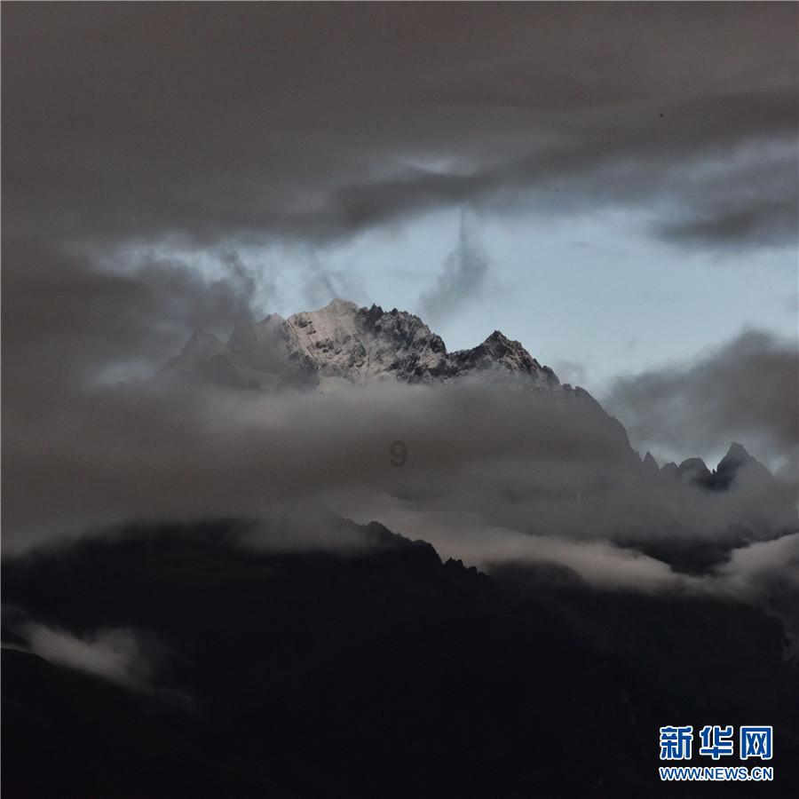 逃离梦想花园