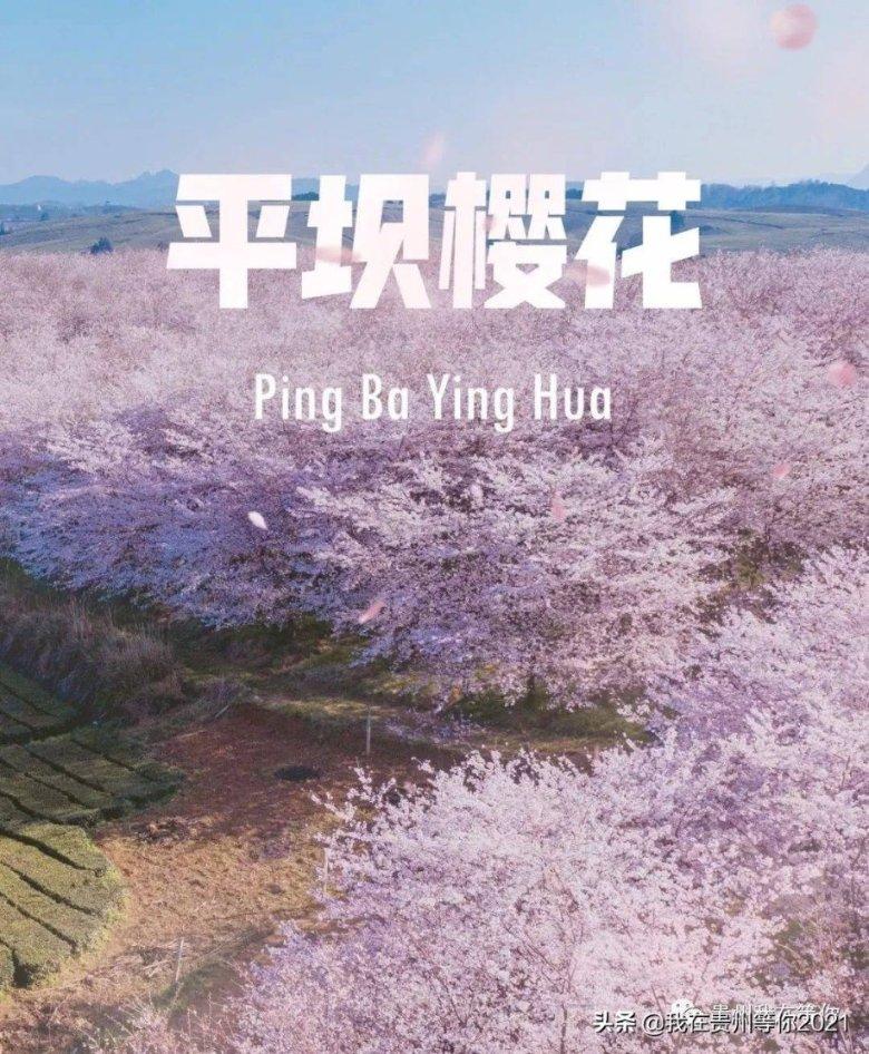 一月一号有成都到白城的火车票呢？游戏画面